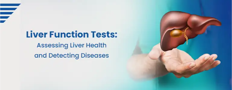 Liver Function Tests (LFTs)